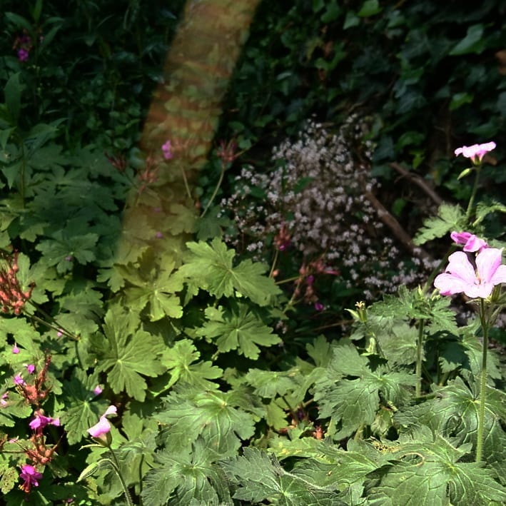 anne sophie oury 3.jpg