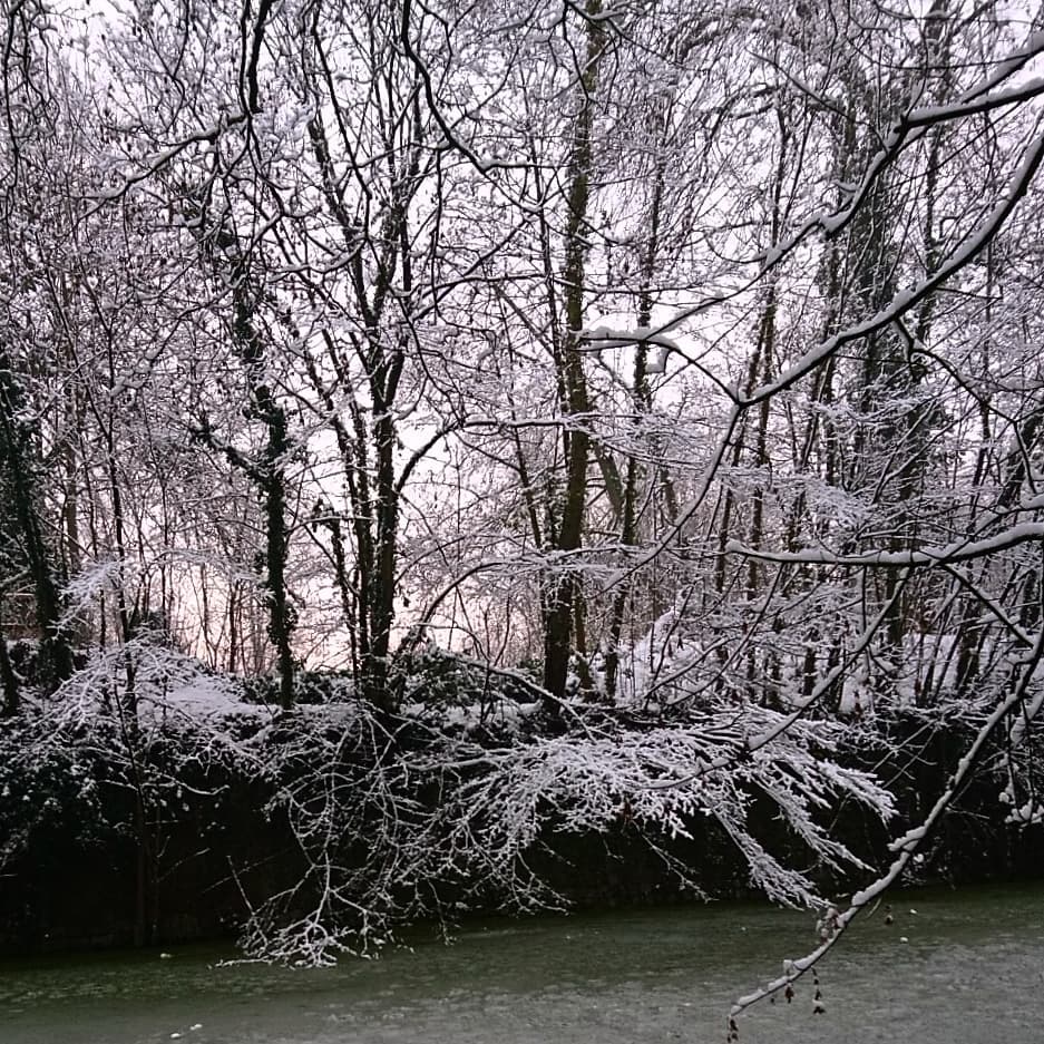 50571643_320930145214144_2274174295489904640_n