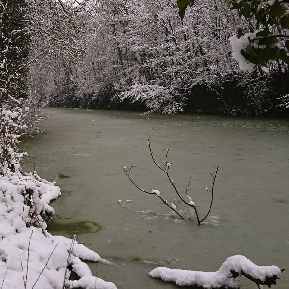 50896856_252191785693556_7335503360713293824_n